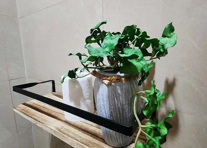 Apartment White Blooming Free Use Of New Town Airport Pick-up And Drop-off Reservation Service *